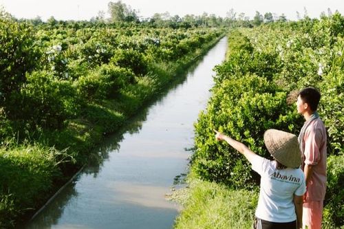 Cơ hội cho phụ nữ nông thôn miền Tây phát triển kinh tế xanh