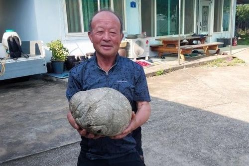 Lão nông 'đổi đời' nhờ phát hiện vật thể giống tảng đá kỳ quái, giá gần 1 tỷ đồng/kg