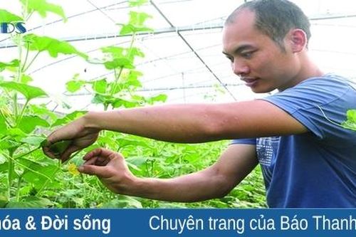 Làm nông nghiệp không dễ - nông nghiệp an toàn... càng khó