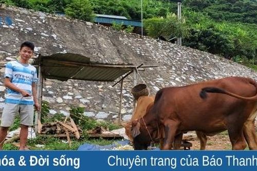 'Đuổi' cái nghèo từ con bò, con dê