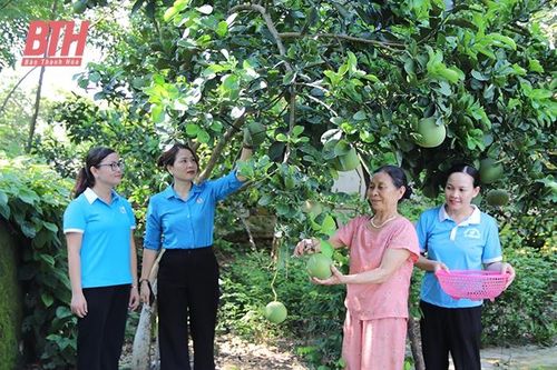 Chủ tịch hội phụ nữ tâm huyết với công tác hội