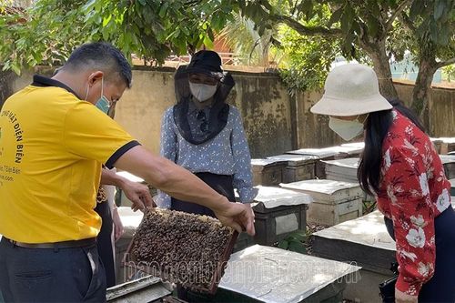 Hỗ trợ phát triển sản phẩm OCOP bền vững