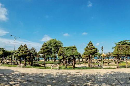 Ký ức về những rặng phi lao bên biển