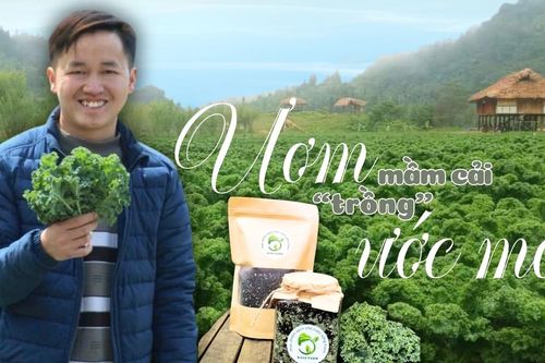 Ươm mầm cải - 'trồng' ước mơ