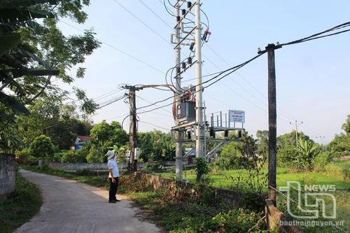 Đồng Liên thoát cảnh 'điện đom đóm'