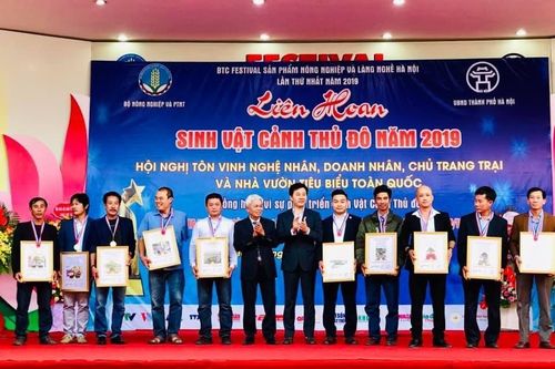 Sinh Vật Cảnh Thủ đô với những bước phát triển ấn tượng