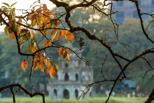 Những điều nên làm ở Hà Nội cuối thu