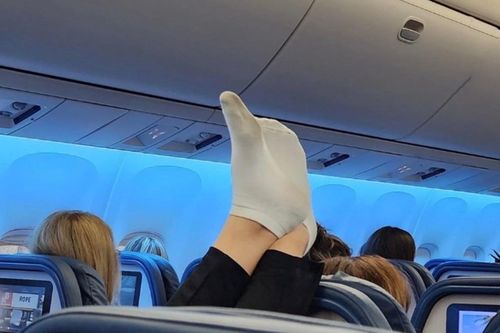 Những hành động của hành khách gây ức chế trên máy bay