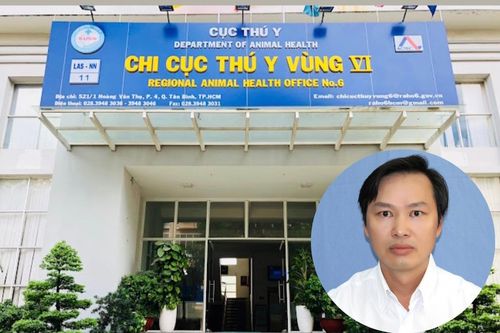 Công an TP.HCM khởi tố Chi cục trưởng Chi cục Thú y vùng VI và thuộc cấp