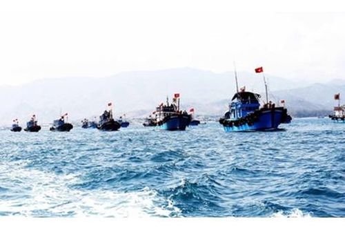 Quyết tâm xử lý dứt điểm vi phạm về khai thác hải sản bất hợp pháp