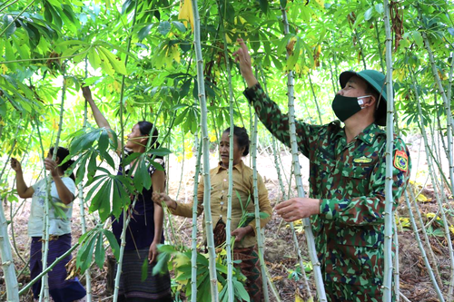 Cùng dân bản phát triển kinh tế