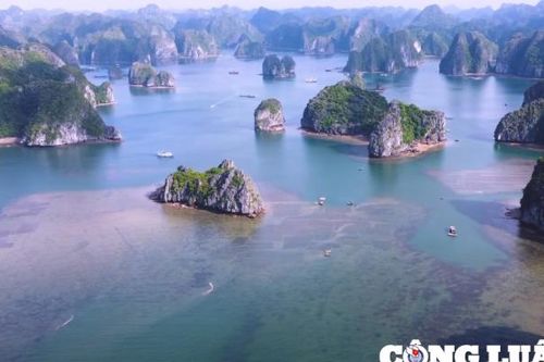 Say đắm trước vẻ đẹp của vịnh Lan Hạ