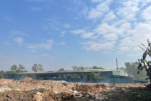 Hà Nội xem xét chuyển mục đích đất trồng lúa dự án cụm công nghiệp tại huyện Gia Lâm