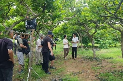 Quảng Ninh đầu tư lớn, mời dàn diễn viên nổi tiếng về đóng phim 'Bình minh đang lên'