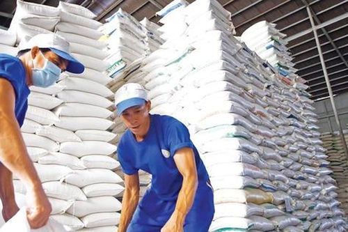 Lý do giá gạo xuất khẩu Việt Nam đột ngột giảm mạnh