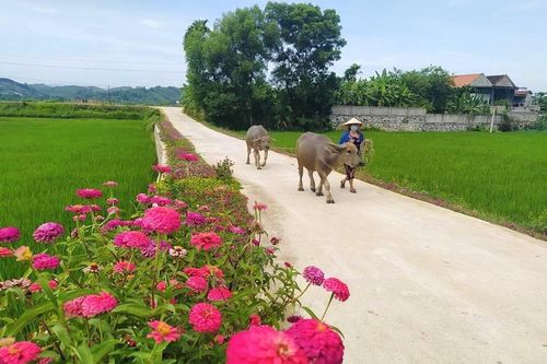 Khơi dậy sức dân nhờ dân vận khéo: Kỳ 2: 'Đi từng ngõ, gõ từng nhà' để tuyên truyền, vận động