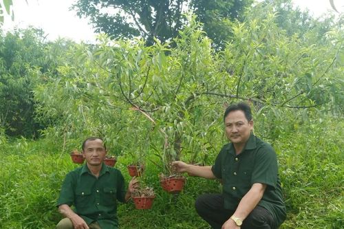 Bí thư Già Tồng Thù - người giỏi ở Na Ngoi