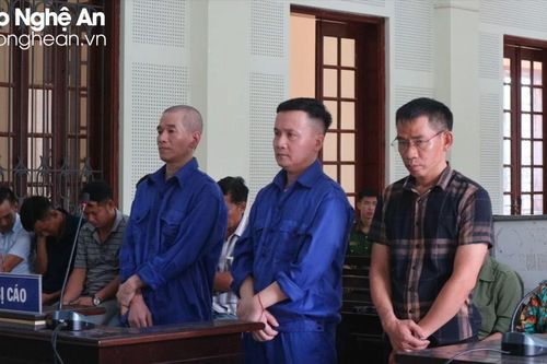 'Cò đất' đưa nhiều người sa bẫy, mất tiền tỷ