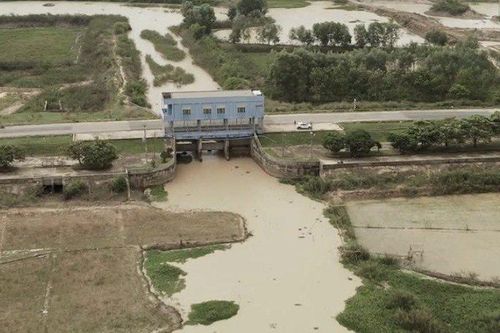 UBND tỉnh Bình Thuận cung cấp thông tin cho báo chí về Hồ Biển Lạc