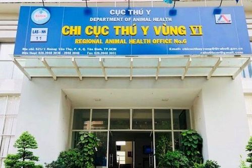 Nhiều cán bộ tại Chi cục Thú y vùng VI bị khởi tố