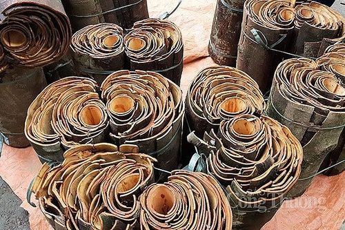 Thị trường xuất khẩu quế lớn nhất của Việt Nam