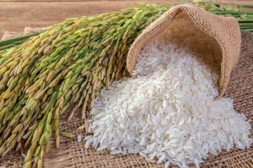 Philippines áp giá trần với gạo: Việt Nam chịu ảnh hưởng thế nào?