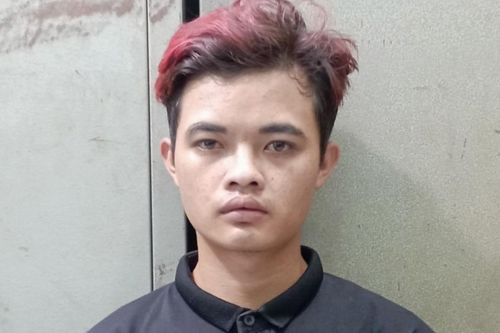 Bắt giữ đối tượng trộm cắp bò