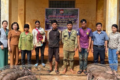 Trao heo giống sinh sản cho hộ khó khăn tại xã Đak Ta Ley và Đak Djrăng