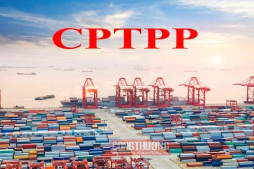 Thêm Malaysia, Chile và Brunei được áp dụng thuế xuất nhập khẩu ưu đãi theo Hiệp định CPTPP