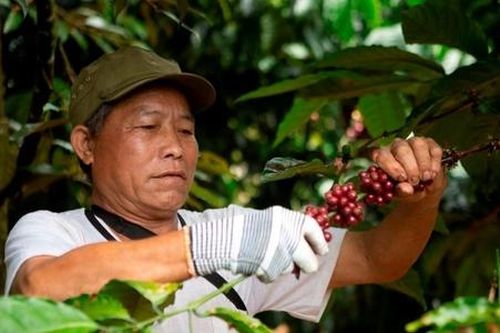 Triển vọng nông thôn mới Cư K'nia