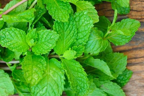 Công dụng tuyệt vời của rau thơm