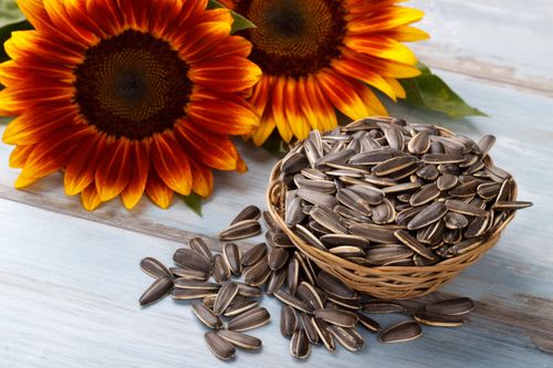Hạt hướng dương có thực sự tốt cho sức khỏe?