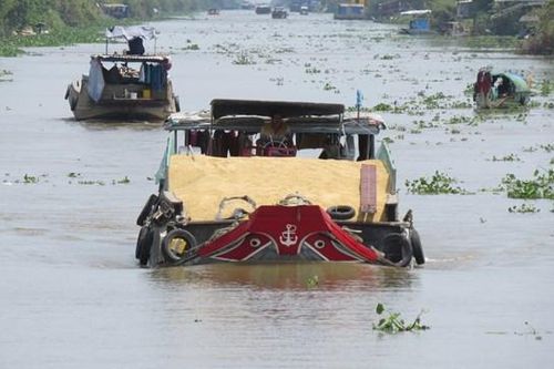 Lênh đênh ghe lúa thương hồ
