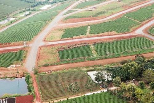 Có quy định hạn mức chuyển đất nông nghiệp thành đất ở?