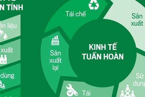 Doanh nghiệp tham gia thử nghiệm phát triển kinh tế tuần hoàn được hưởng ưu đãi gì?