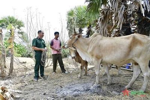 Đoàn Kinh tế Quốc phòng 915 (Quân khu 9): Điểm tựa của nhân dân vùng biên