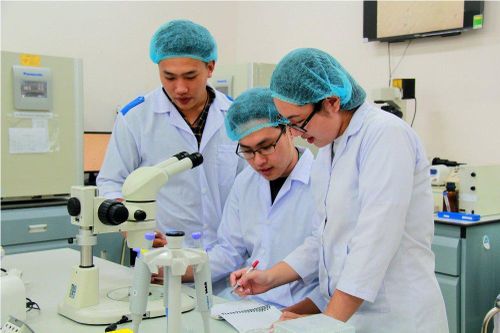 10 năm triển khai Nghị quyết 29: Thành tựu lớn nhưng thách thức không nhỏ