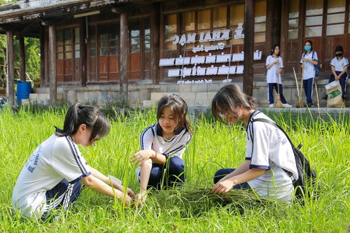 Học sinh Thừa Thiên – Huế dọn dẹp vệ sinh, chung tay bảo vệ môi trường