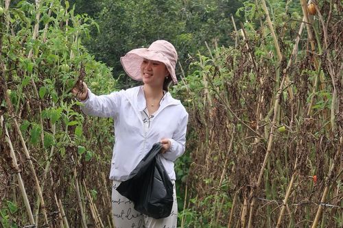 Người trẻ sống chậm để chữa lành