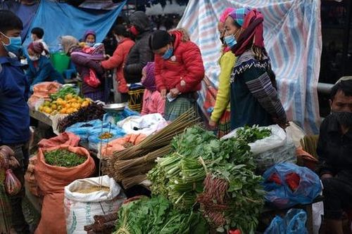 Đẩy mạnh tiêu thụ sản phẩm miền núi, vùng sâu, vùng xa và hải đảo trên sàn thương mại điện tử