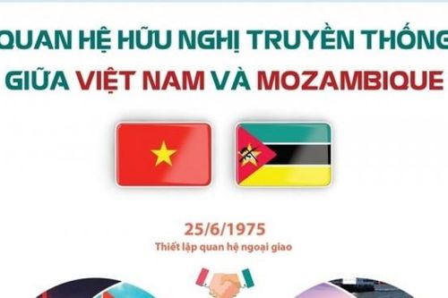 Khai phá, mở rộng cơ hội hợp tác song phương Việt Nam - Mozambique