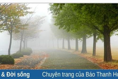Mưa thu