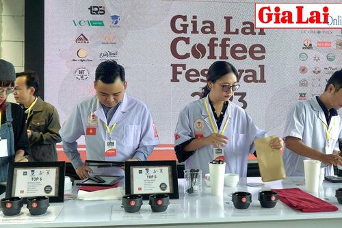 Ấn tượng sự kiện trải nghiệm cà phê địa phương lần đầu tại Gia Lai