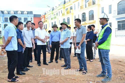 Đồng chí Bí thư Tỉnh ủy Chẩu Văn Lâm kiểm tra tiến độ triển khai dự án tại Mỹ Lâm