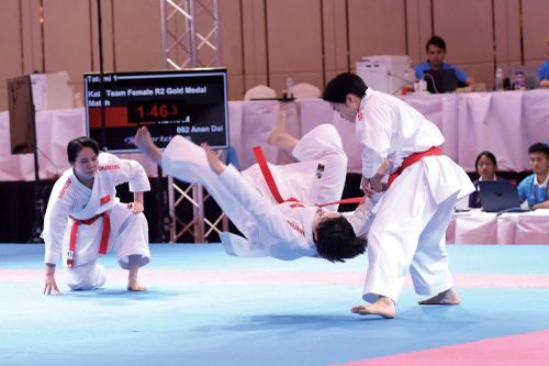 Vận động viên Hà Nội góp mặt ở ASIAD 19: Kỳ vọng tạo dấu ấn mới