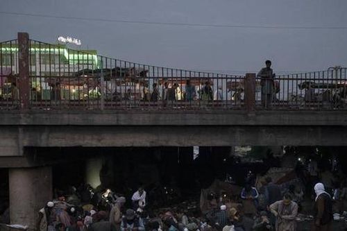 Buôn bán ma túy đá ở Afghanistan tăng vọt