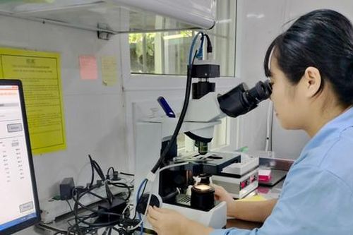 Làm chủ công nghệ hiện đại trong sản xuất tinh bò giống BBB