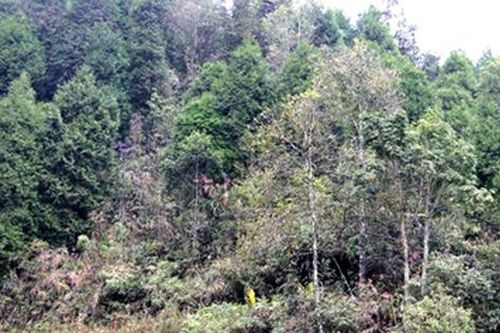 Thi thể người trong hốc đá và những thứ tưởng quen mà 'lạ' xuất hiện ngay bên cạnh