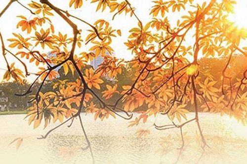 Những trải nghiệm nên thử khi Hà Nội vào Thu