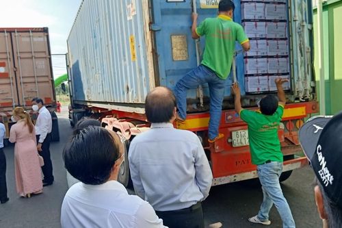Vì sao nông sản Việt chưa chinh phục những thị trường khó tính?